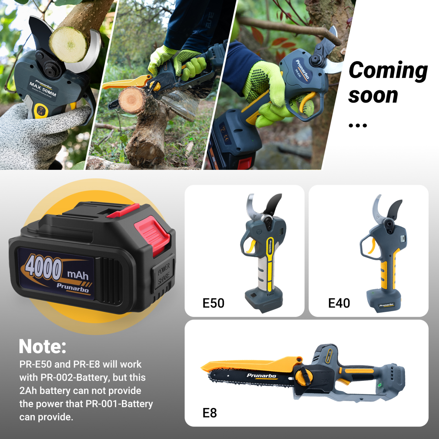 4.0 Ah 21V MAX 10C Lithium-ion Battery -- Prunarbo PR-001-Battery