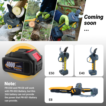 4.0 Ah 21V MAX 10C Lithium-ion Battery -- Prunarbo PR-001-Battery