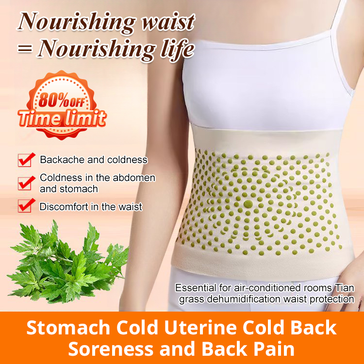 [Essential for Air-conditioned Rooms] Summer Mugwort Dehumidification and Waist Care
