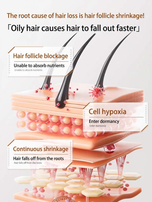 【Reversing Gray Hair】Ginseng Root and Arborvitae Leaf Shampoo