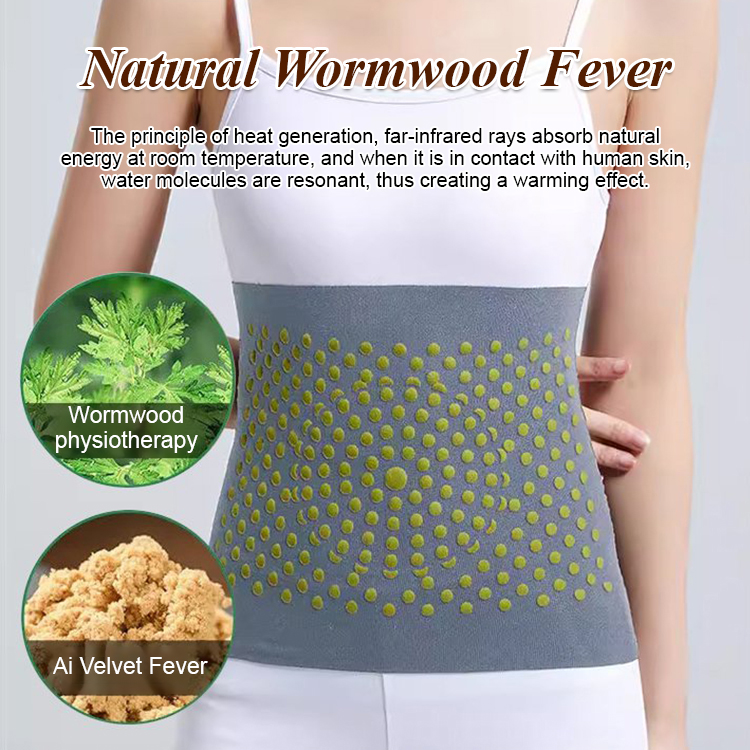 [Essential for Air-conditioned Rooms] Summer Mugwort Dehumidification and Waist Care