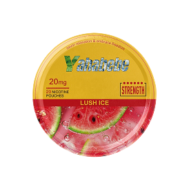 YAHABEBE - 11 Flavours