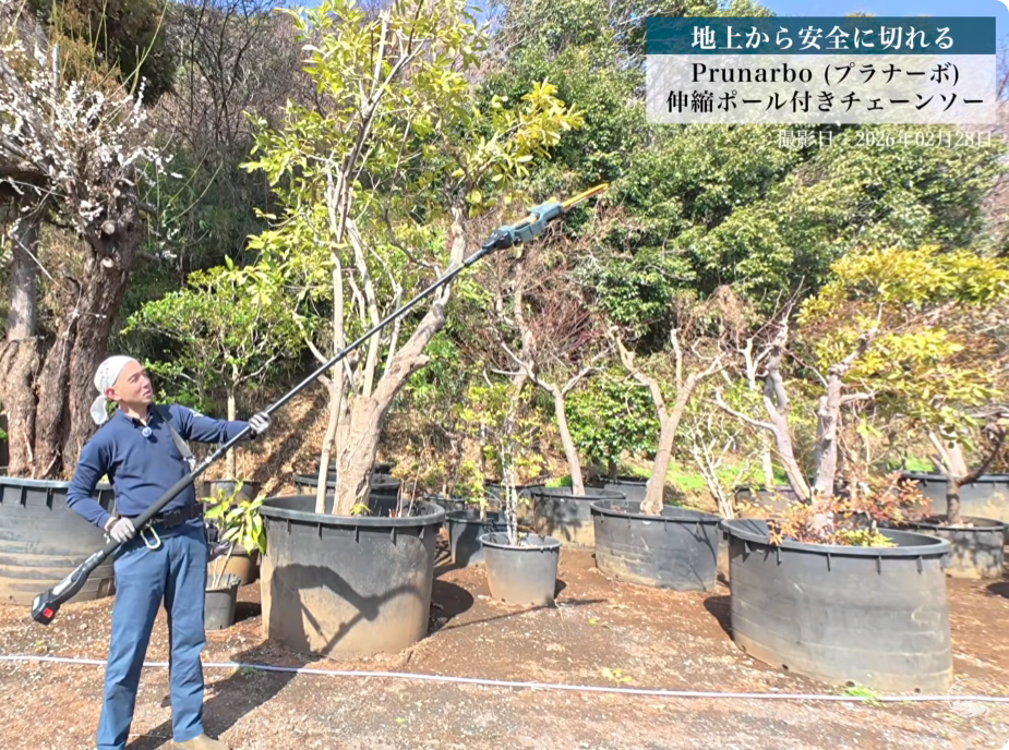 【チェーンソー ポール付きセット】8インチ 電動チェーンソー スピード特化 収納ケースなし バッテリー2個 予備チェーン付き 品番:PR-E8