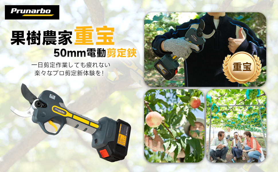 エルロン練習機 EPP Savanna サバンナ 手渡し引き取り限定 に興味を