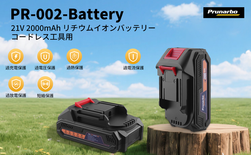 PR-002-Battery