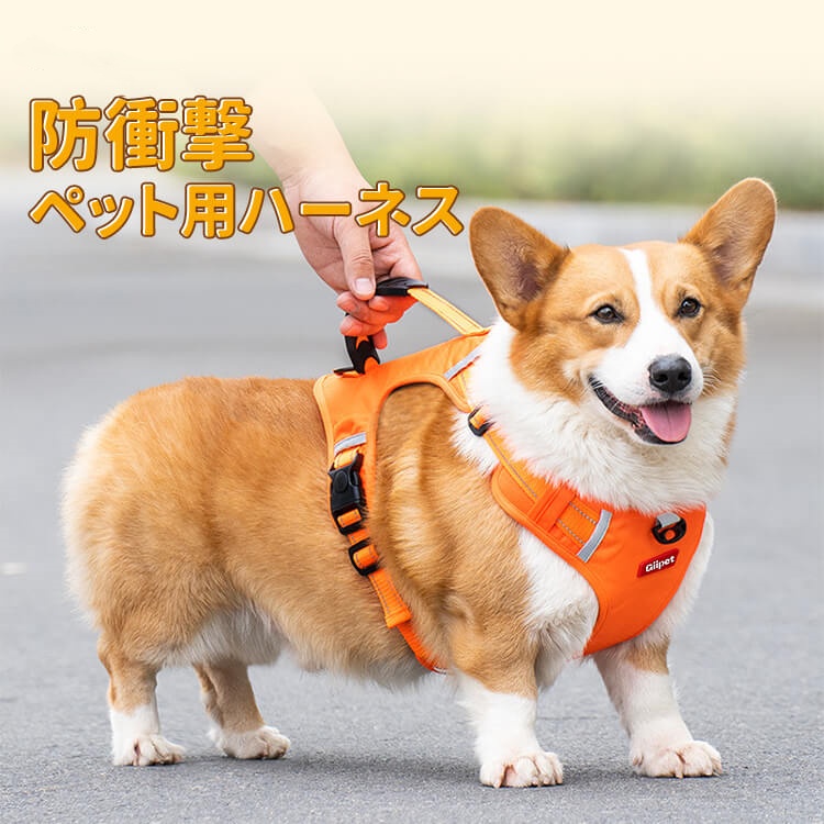 Mzz Mate®尼龍H型胸背帶 狗狗胸背 狗狗胸背帶 尼龍胸背帶