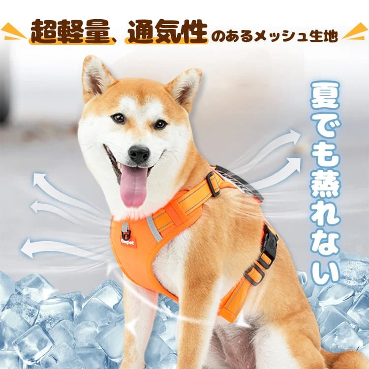 Mzz Mate®尼龍H型胸背帶 狗狗胸背 狗狗胸背帶 尼龍胸背帶