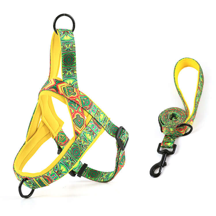 炫彩胸背帶 · 帶牽引繩