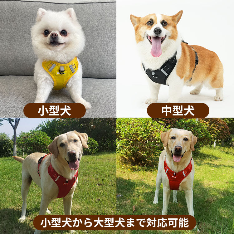 防拉扯寵物胸背帶，一體式設計，易於穿脫，反光手柄，配反光牽引繩，狗狗胸背帶，寵物用品，胸背帶，3M反光材料，透氣，可調節尼龍材質，適合小型、中型和大型犬-萌爪爪