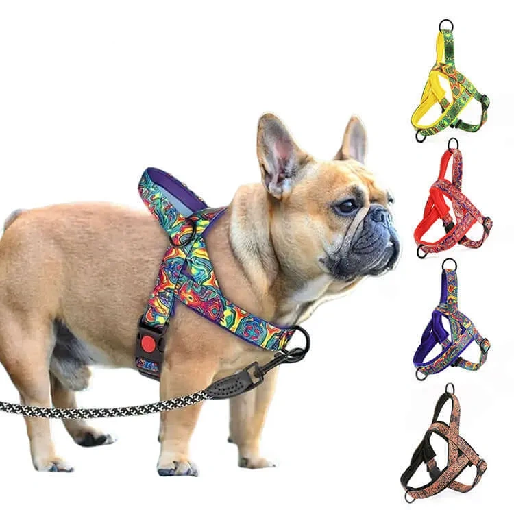 炫彩胸背帶 · 帶牽引繩