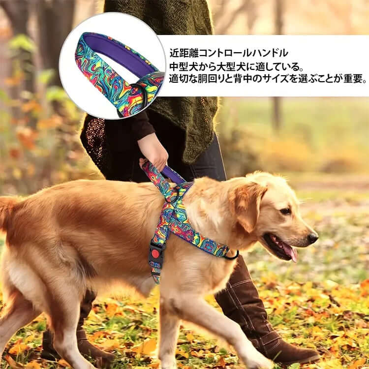 炫彩胸背帶 · 帶牽引繩