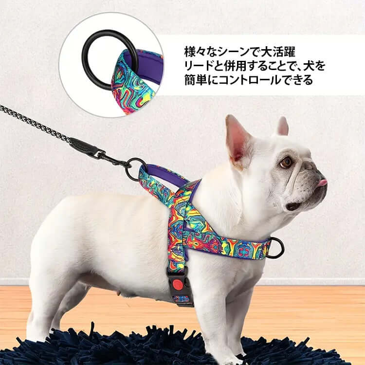 炫彩胸背帶 · 帶牽引繩