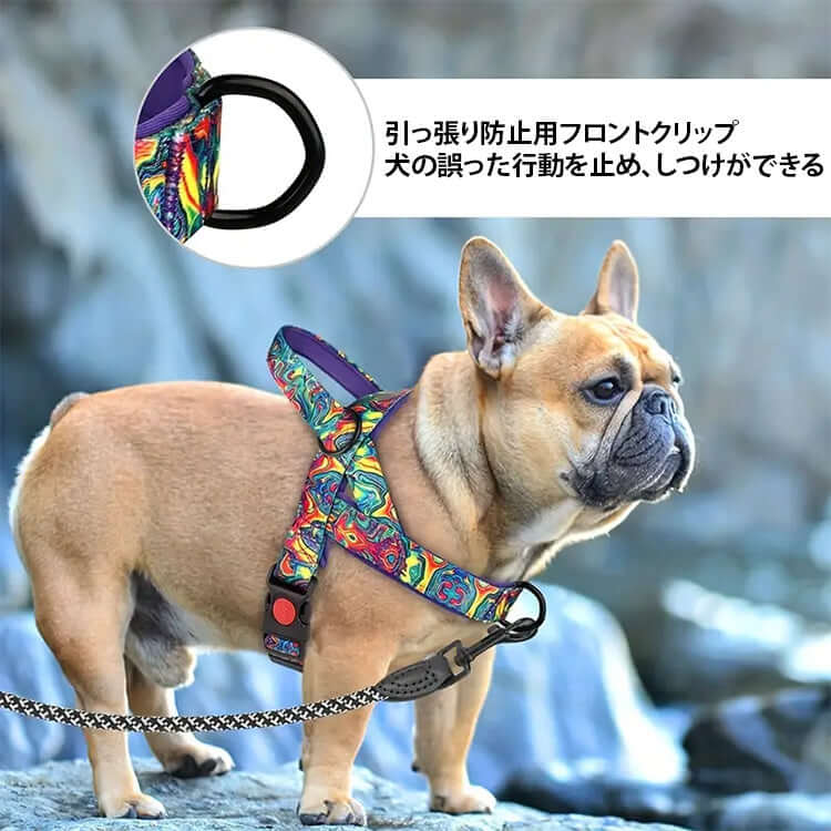 炫彩胸背帶 · 帶牽引繩