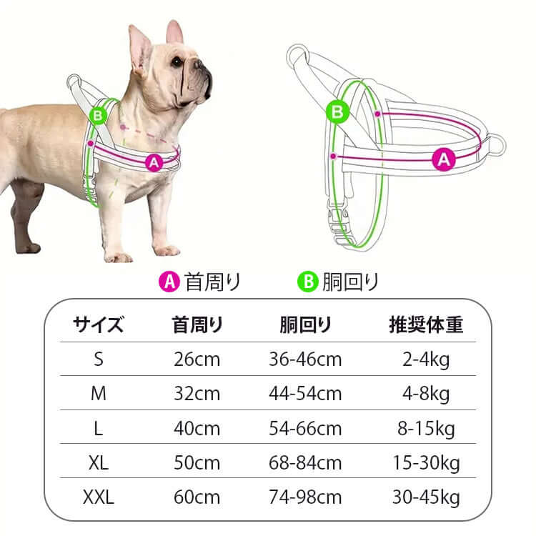 炫彩胸背帶 · 帶牽引繩