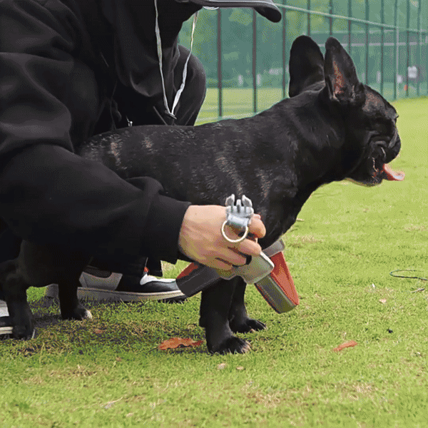Y型透氣反光背帶 · 帶牽引繩
