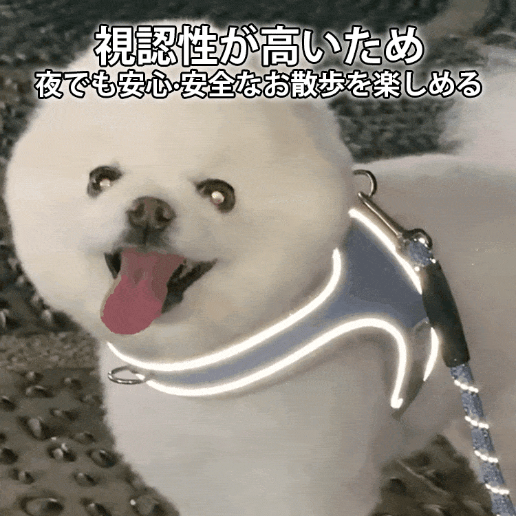 寵物胸背帶，適用於小型和中型犬，輕便透氣，防拉扯，防滑，1秒即可穿戴，零束縛，舒適易用，高品質，易於調節，適合日常使用，適合新手和遛狗人士，四季皆宜。-萌爪爪