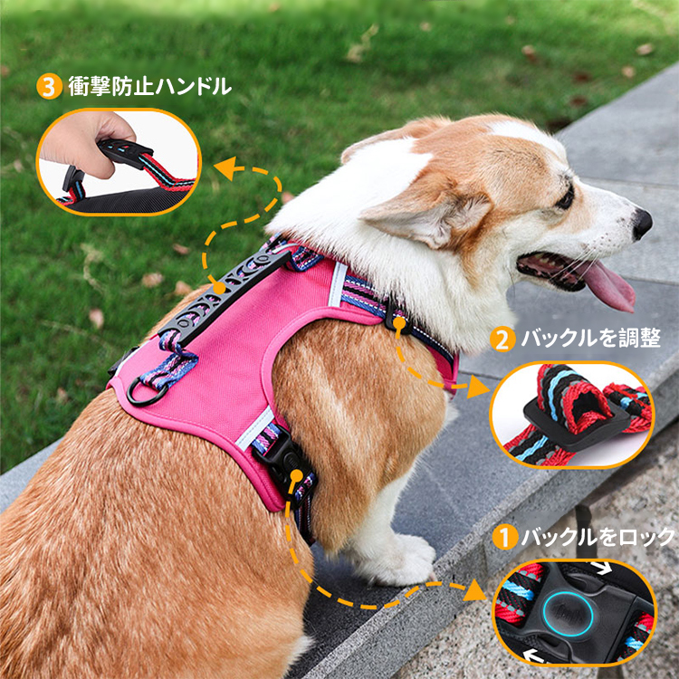 反光背心胸背帶 · 帶牽引繩