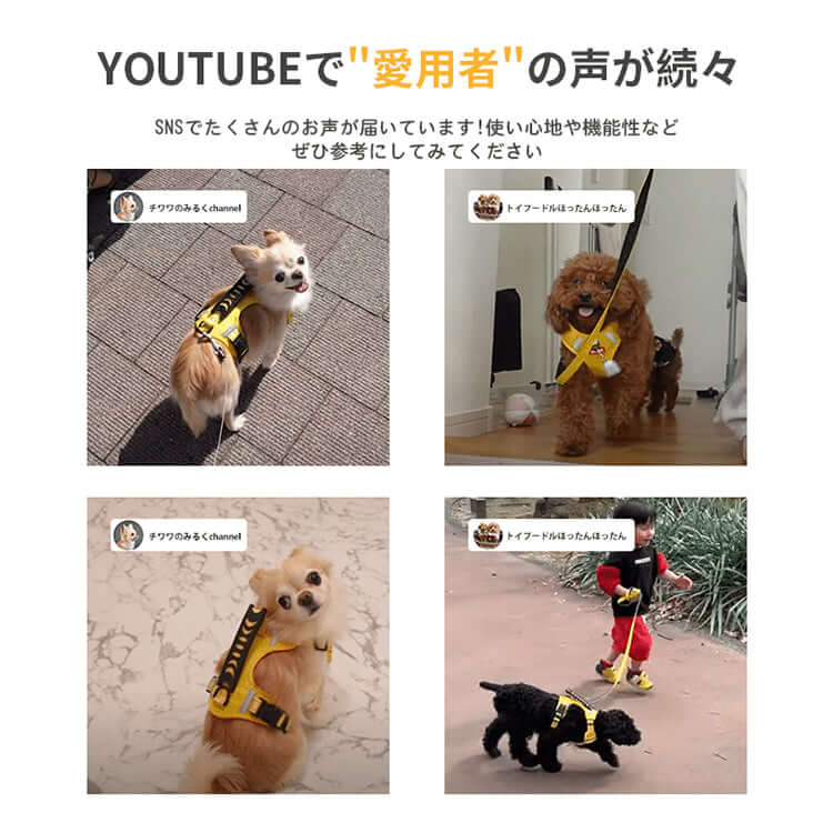 防拉扯寵物胸背帶，一體式設計，易於穿脫，反光手柄，配反光牽引繩，狗狗胸背帶，寵物用品，胸背帶，3M反光材料，透氣，可調節尼龍材質，適合小型、中型和大型犬-萌爪爪
