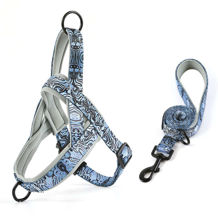 炫彩胸背帶 · 帶牽引繩