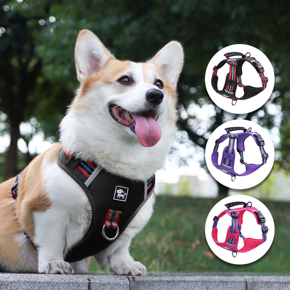 反光背心胸背帶 · 帶牽引繩