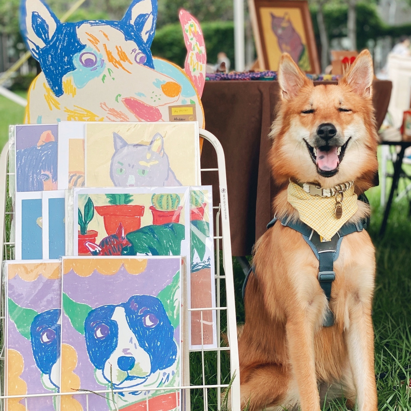 強調品牌透明說明與犬用品安全理念的視覺情境