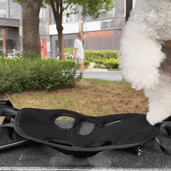 外出必備 · 全身式狗狗背包背帶