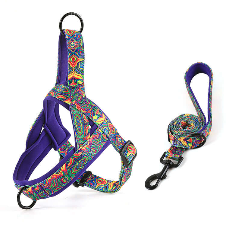 炫彩胸背帶 · 帶牽引繩