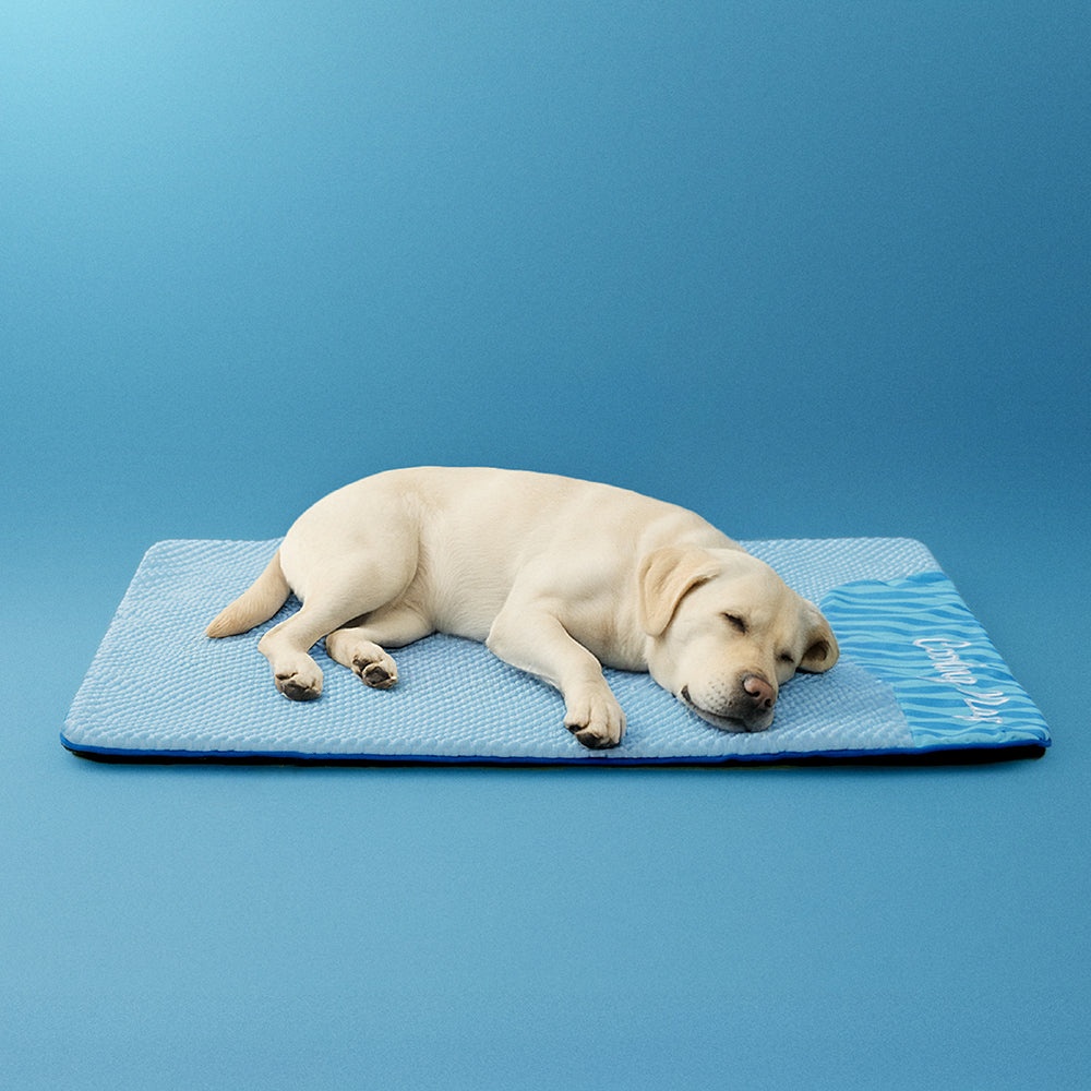 Mzz Mate®涼感降溫墊 大號可水洗 狗狗涼墊 寵物涼墊 寵物涼感床