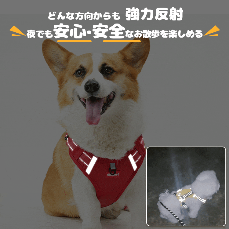 防拉扯寵物胸背帶，一體式設計，易於穿脫，反光手柄，配反光牽引繩，狗狗胸背帶，寵物用品，胸背帶，3M反光材料，透氣，可調節尼龍材質，適合小型、中型和大型犬-萌爪爪