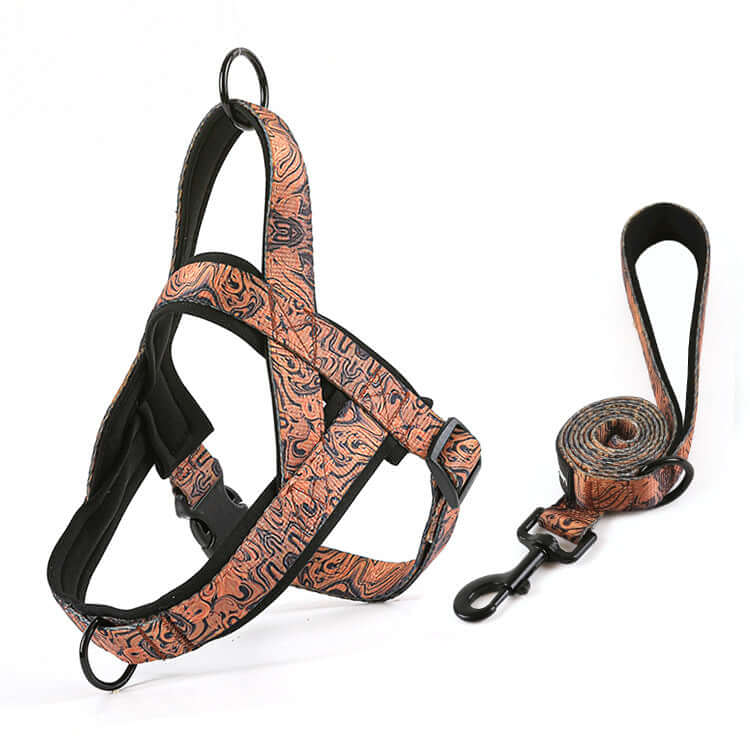 炫彩胸背帶 · 帶牽引繩