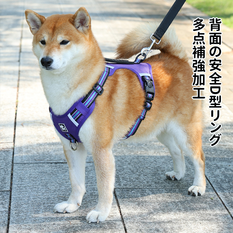 反光背心胸背帶 · 帶牽引繩