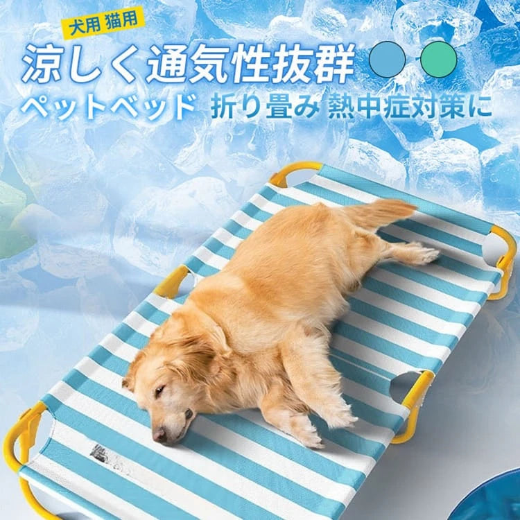 【清涼一夏】折疊行軍床