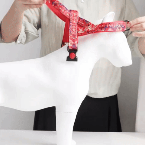 炫彩胸背帶 · 帶牽引繩