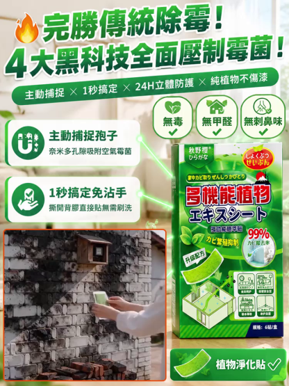 【一貼斷霉根】霉菌淨化貼