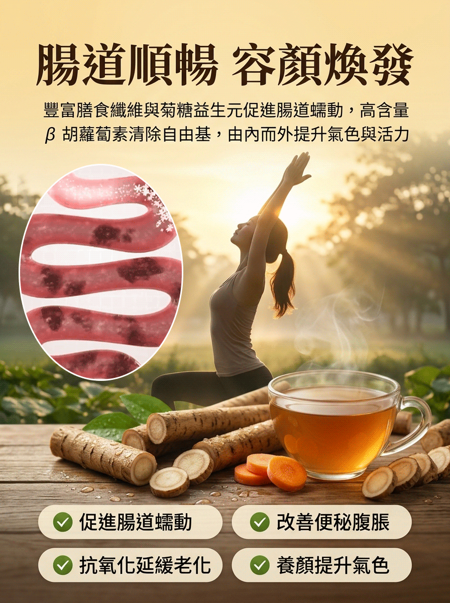 【血管清道夫】台灣有機牛蒡粉