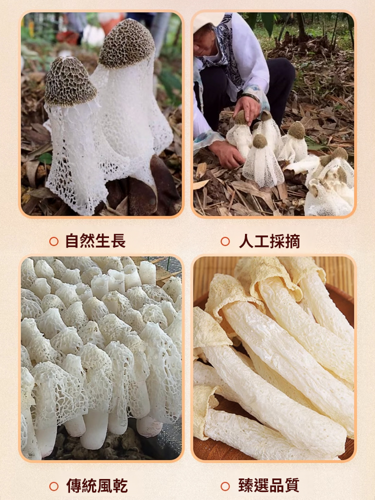 【菌中皇后】新貨無裙竹蓀桿，純天然生長，汤羹伴侣，不打藥無農殘，保留98%營養