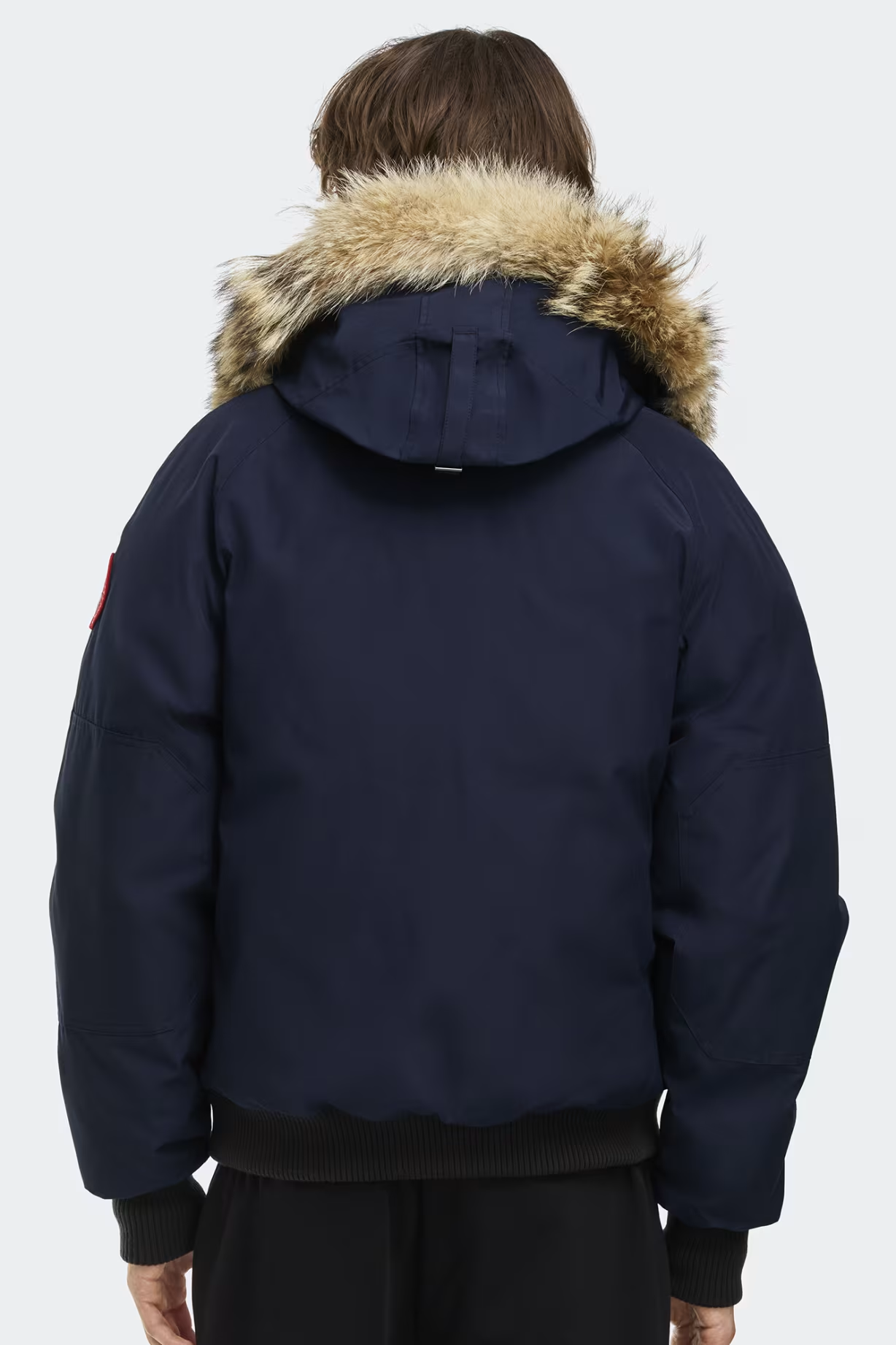 Canad Goose チリワック爆撃機の遺産