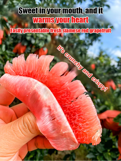 Siam Perfume Red Pomelo from Thailand【Rejuvenating & Lowering Blood Pressure】
