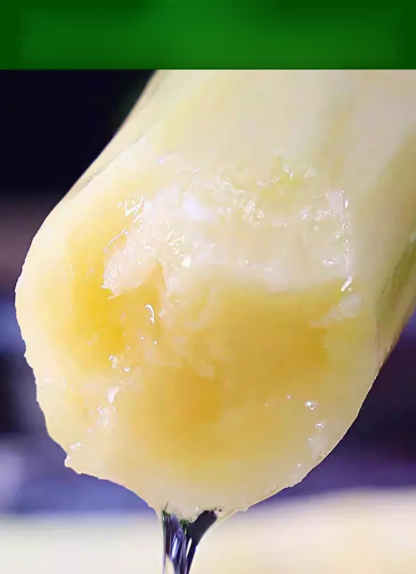 【Cuban Import】Natural Energy Bar Giant Sugarcane Seeds