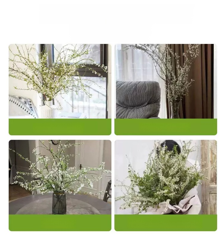 Water Blossom Dry Branch Snow Willow