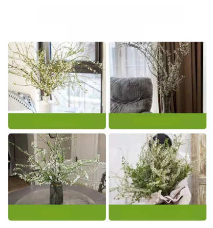 Water Blossom Dry Branch Snow Willow