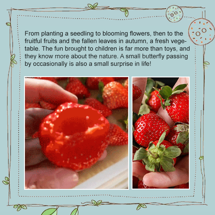 Cream Strawberry Seeds