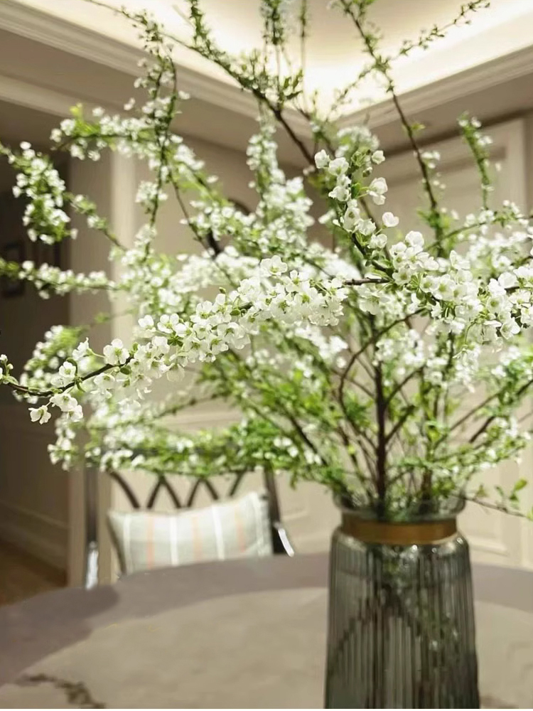 Water Blossom Dry Branch Snow Willow close-up