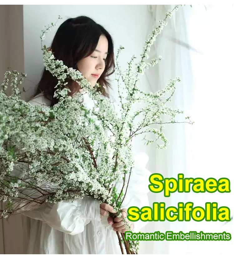 Home vase arrangement with dry snow willow branches