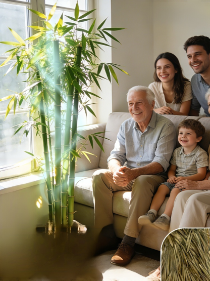 Cold-Resistant and Drought-Tolerant Green Bamboo Seeds for Air Purification