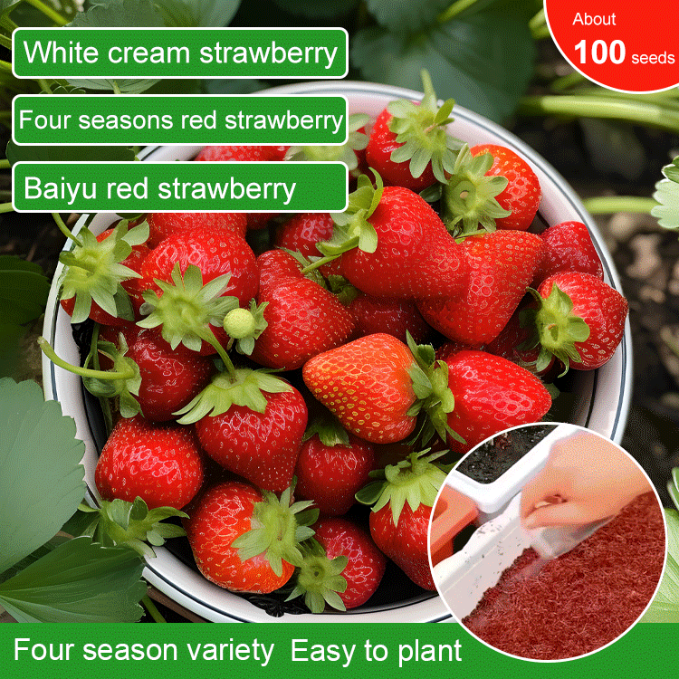Cream Strawberry Seeds