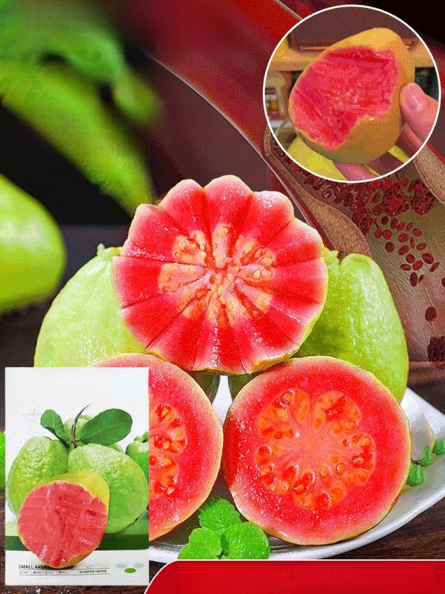 Soft and sweet red guava seeds