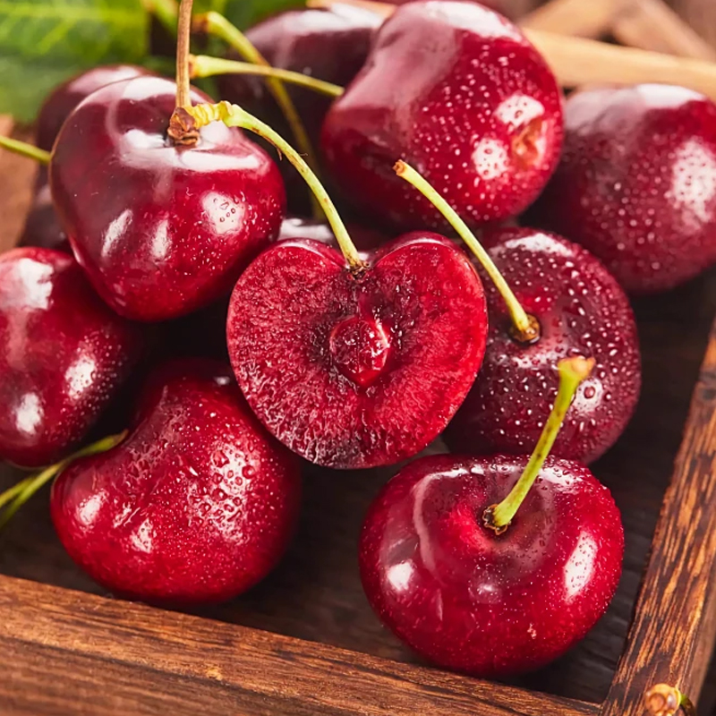 Fully Imported Chilean Chelsea Seeds