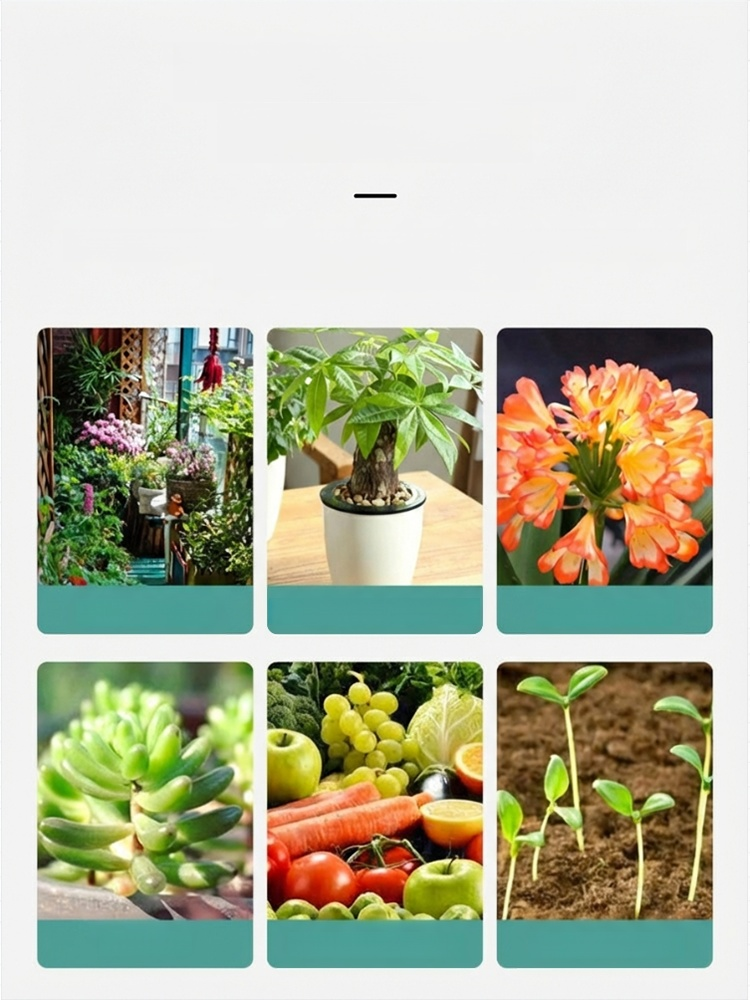 Multi-purpose Plant Nutrient Soil