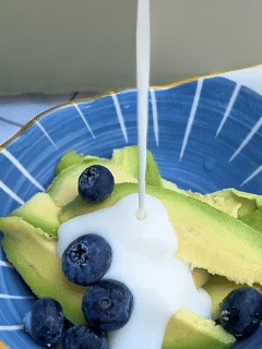 Variety Mexican Avocado Sapling (Fruits in First Year)